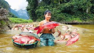 Harvesting A Lot Of Fish At Mud Pond Goes to market sell - Cooking fish | Phuong Daily Harvesting