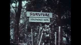 Opus Rus Original 4 Track