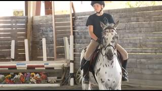 preview picture of video 'West Brooke Equestrian Centre - Shaw TV Port Alberni'
