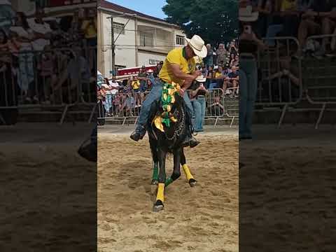 Desfile de cavaleiros em Congonhal. julho 2026