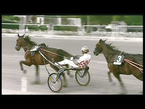 Trotto 29/05/2020 - 8ª corsa