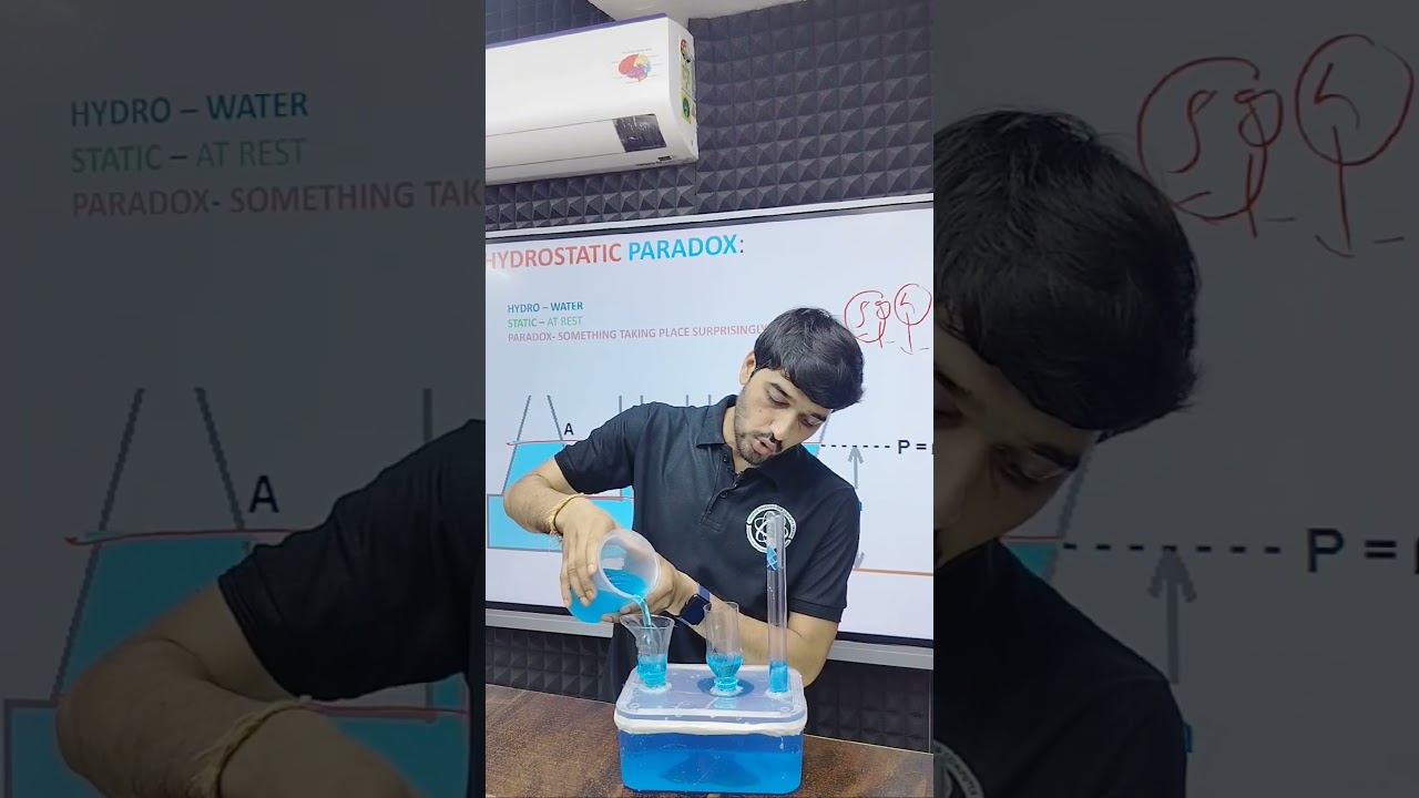 Hydrostatic paradox