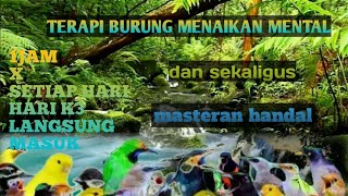 Download lagu TERAPI AIR UNTUK SEMUA JENIS BURUNG. PALING UTAMA UNTUK KACER DAN MURAI BATU mp3