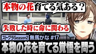 【#ストグラSeason2】"本物の花"育てる気ある？ 日之ぱちおの覚悟を問う無馬かな【にじさんじ/叶/切り抜き】