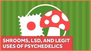 Shrooms, LSD, and Legit Uses of Psychedelics in Treatments