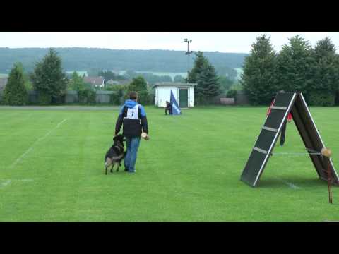 Urri z Kurimskeho haje - B:98 / 3rd Qualification trial IPO3 to FCI / WUSV 2015