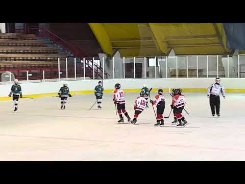 JcTED.cz v terénu! Hokej - liga starších žáků: Strakonice - Český Krumlov (branka na 2:0)