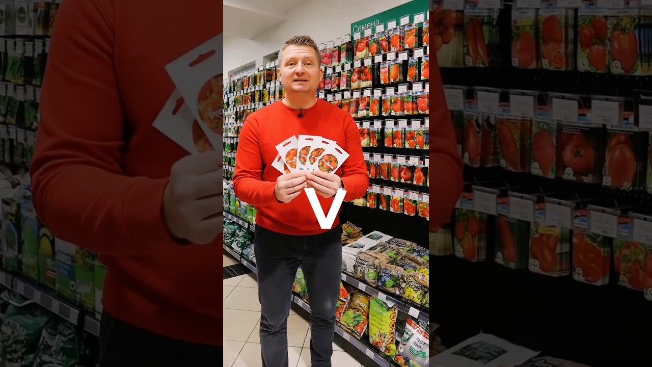 Этим томатам не страшны болезни и вредители! Урожайные, вкусные, отлично растут в открытом грунте!