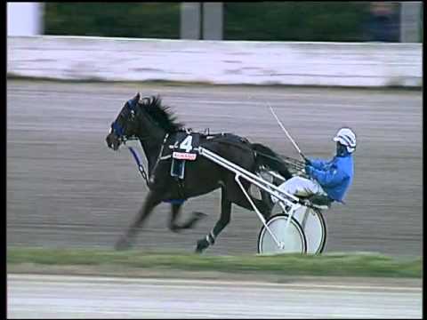 Trotto 05/01/2016 - 2° corsa