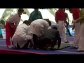 Sanshou major of  Shaolin Tagou Martial Art School in China