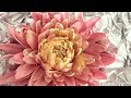 How To Create A Dahlia Using Sugar Paste