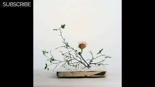 Mark Barrott - Schopenhauer's Garden