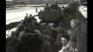 War & Remembrance Stand or Die