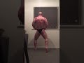 Bodybuilding Nabba mr wales posing routine