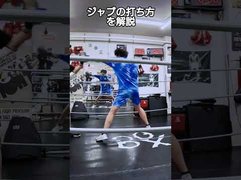 ジャブの打ち方を解説