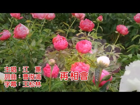 江蕙 再相會