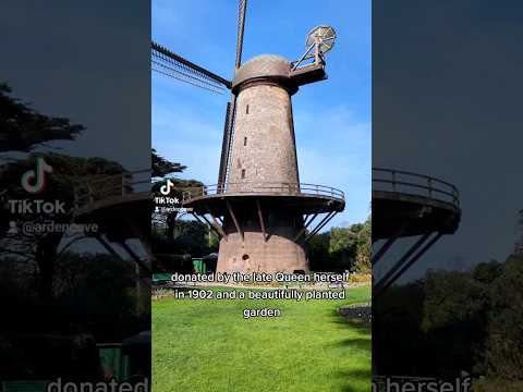 Queen Wilhelmina's Garden in #sanfrancisco #goldengatepark #winterbloom #travel #flowers #windmill