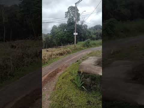 VEJA A SITUAÇÃO DA RUA JOSE LAIDE DA SILVA