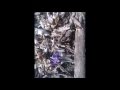пришла весна- цветы цветут 