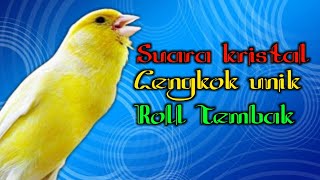 Download lagu 🔴 Masteran Kenari Gacor Durasi panjang Suara jernih || jeda 1 menit mp3