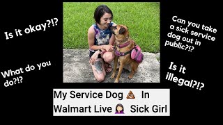 Service Dog Paws Normalizing Service Dogs Having Accidents? | Commentary & Review