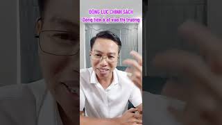 Động lực chính sách dòng tiền ồ ạt vào thị trường | LAV Invest
