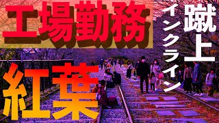 【工場勤務の休日】独身男が京都へ紅葉を見に『蹴上インクライン』