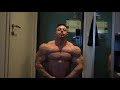 Vecchi mattia ifbb elite pro Nordic pro 2019