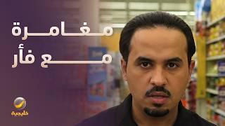 مغامرة مع فأر