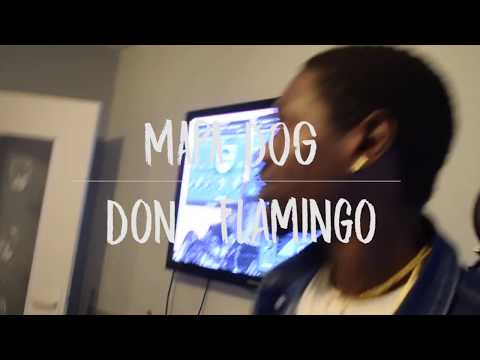 MAPA DOG / PAKA  MO FAIM