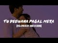Tu Deewana Pagal Mera Ho Gaya Slowed Reverb Kumar Sanu Alka Yagnik Kumar MT