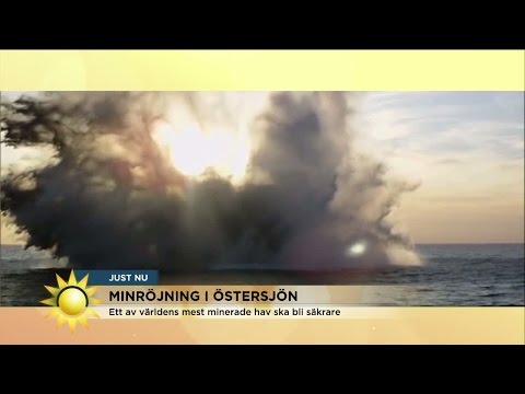 Maria Forsblom röjer minor i Stockholms skärgård - Nyhetsmorgon (TV4)