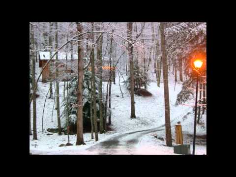 Tennessee Christmas video