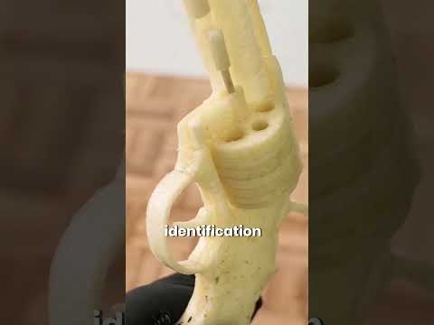 ​I Turned a Slice of Bread Into a Real Gold Gun...