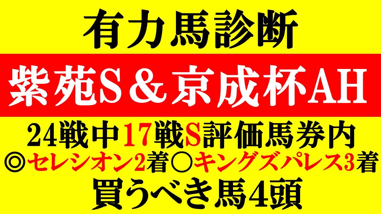 【紫苑S＆京成杯オータムAH 有力馬診断 2024】新潟記念◎セレシオン2着！〇キングズパレス3着！S評価はこの馬達！