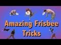 THE MOST AMAZING FRISBEE DOG TRICKS