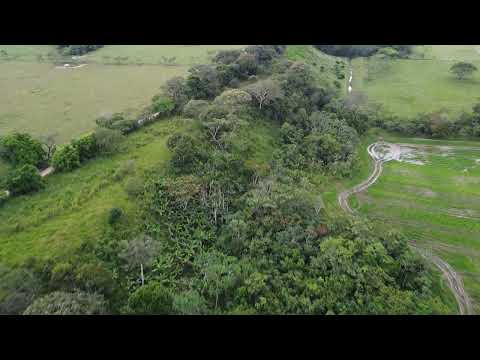 🚁 Predio El Rinconcito 2025 | Monitoreo Agroambiental con Dron 🌳🌎