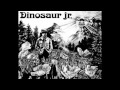 Dinosaur Jr. - Does It Float