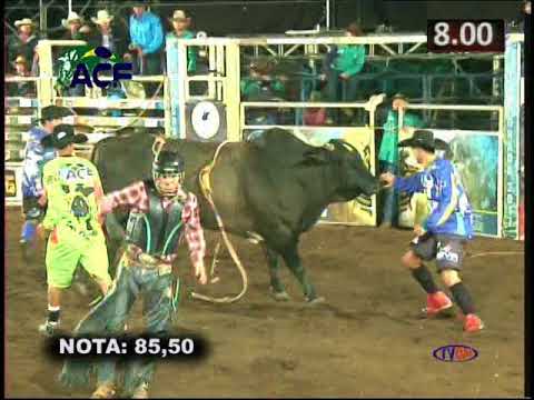 Sta Rita de Caldas MELHOR DA NOITE SABADO  2017stu