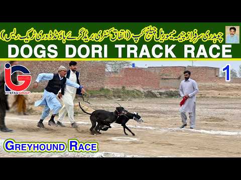 Dori Track Race || Ch. Sarfaraz (M) Challenge Cup 2026 || 1st Round || 09-02-26 #dog #viral #fyp