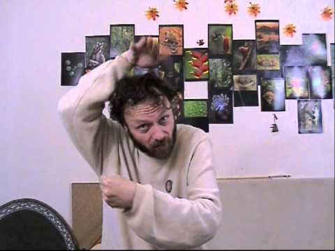 A point about the Roman 'testudo' formation