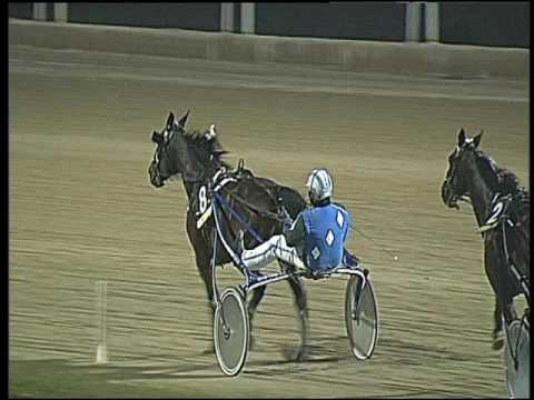 Trotto 12/03/2017 - 8ª corsa