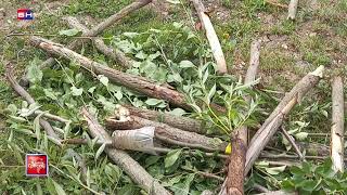 Video thumbnail image