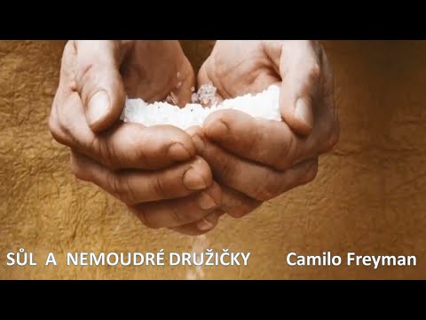 SONG 038 - Camilo Freyman - O soli