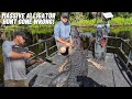 HUNTING A MASSIVE GATOR EVERYTHING WENT WRONG THEN THIS HAPPENED