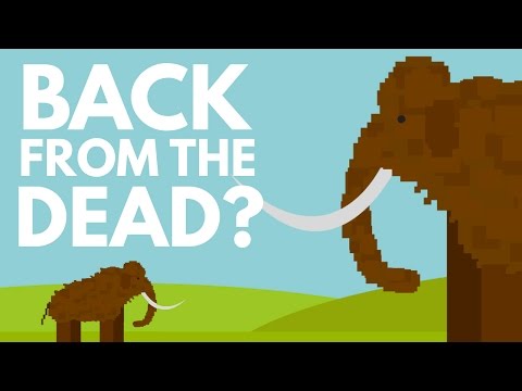 Should We Bring Extinct Animals Back To Life? Video