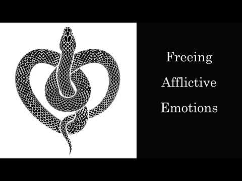 Longchenpa ~ Freeing Afflictive Emotions ~ Dzogchen