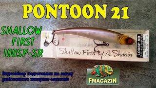 Pontoon 21 shallow first 100sp-sr