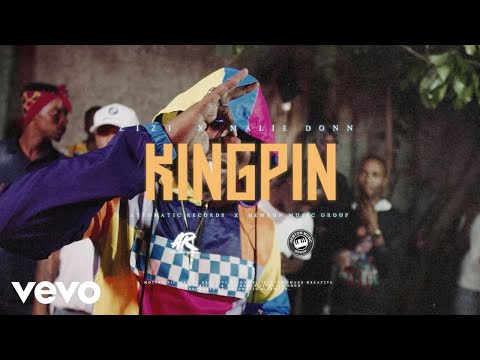 Zizi, Malie Donn - Kingpin (Official Visualizer)