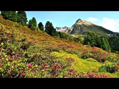 Musikkapelle St. Valentin - Alpenrosen Marsch - Frühjahrskonzert 2014